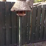 Ferienwohnung Rolf Eg Mit Terrasse Und Garten Apartamento *