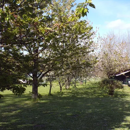 아파트 Sandhorst Eg 2 Schlafzimmer Mit Terrasse Und Garten