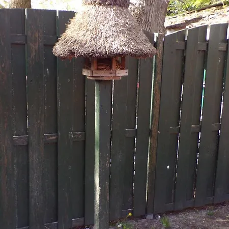 Rolf Eg Mit Terrasse Und Garten Lejlighed *